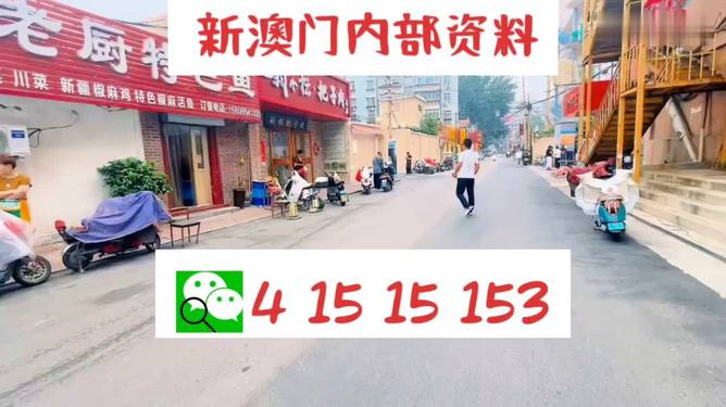 2024新澳门天天开好彩大全|精选解释解析落实