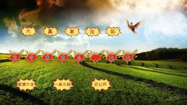 4949开奖免费资料澳门|精选解释解析落实