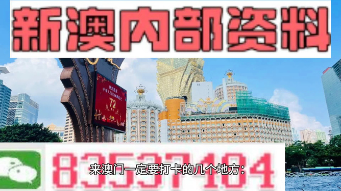 2024新澳门正版免费资木车|精选解释解析落实