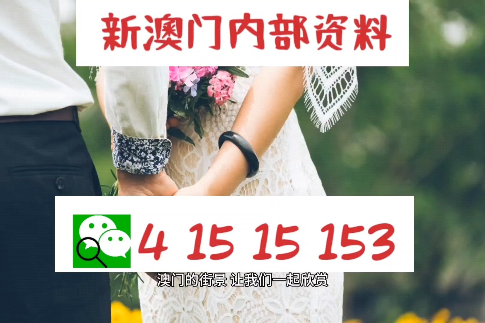 2024澳门精准正版免费大全|精选解释解析落实