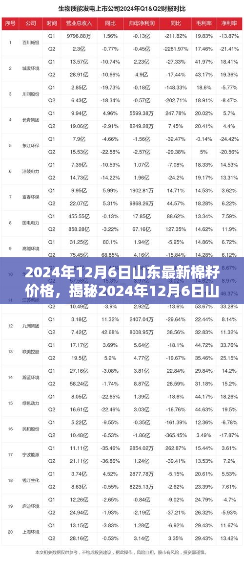 山东棉花最新价格多少钱一斤