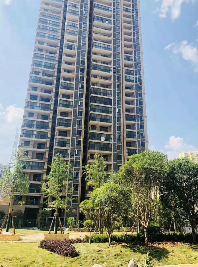 香港资讯 第246页