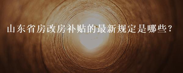 山东省房改房最新文件