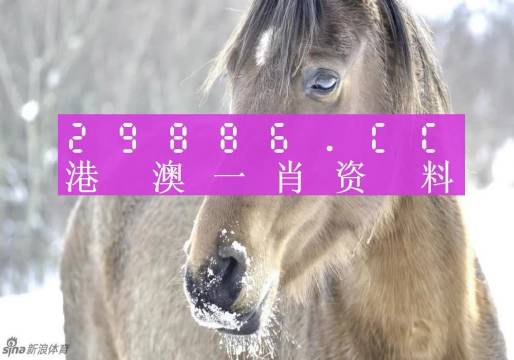 澳门资讯 第193页
