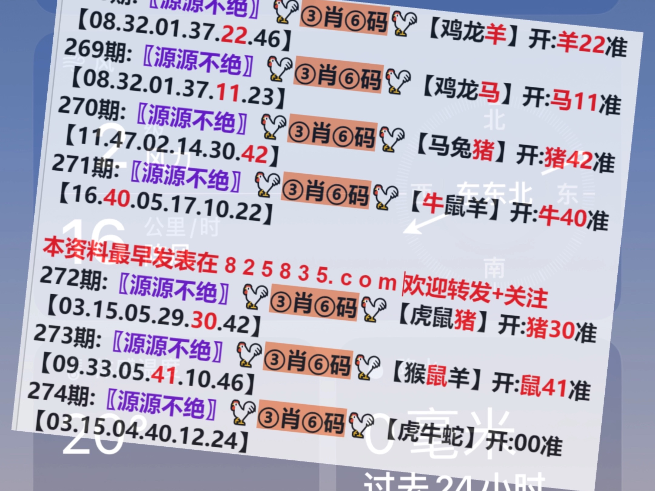 澳门资讯 第175页