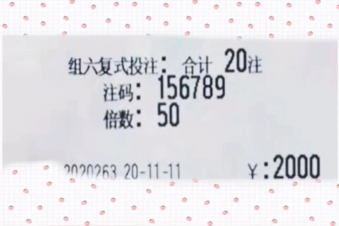 2025年新澳门今晚开奖结果2025年,探索未来彩票奥秘，2025年新澳门今晚开奖结果展望