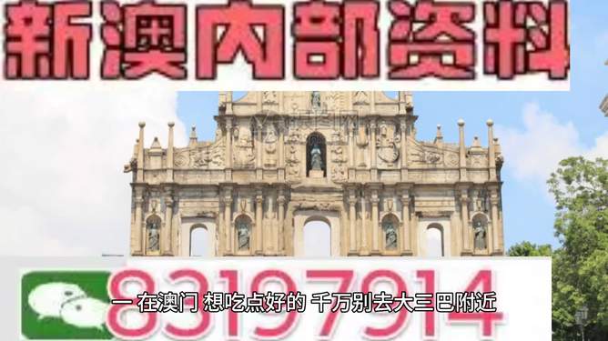 2025澳门正版精准资料大全,澳门正版精准资料大全——探索未来的关键指南（2025版）