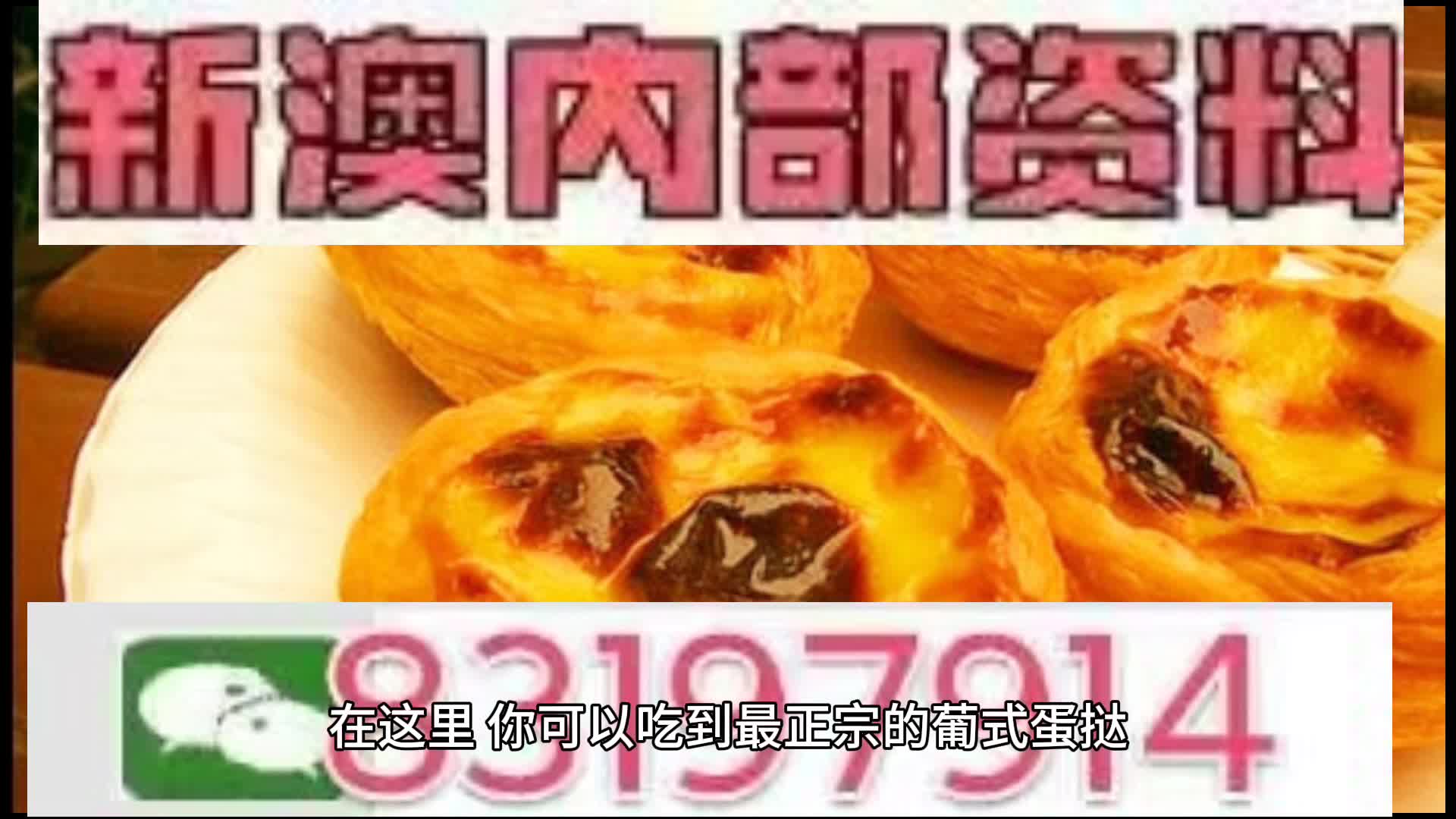 澳门中特网的网站,澳门中特网的网站，探索与挑战