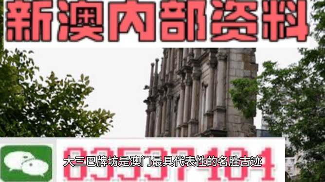新澳门最精准正最精准龙门,新澳门最精准正最精准龙门，探索与揭秘