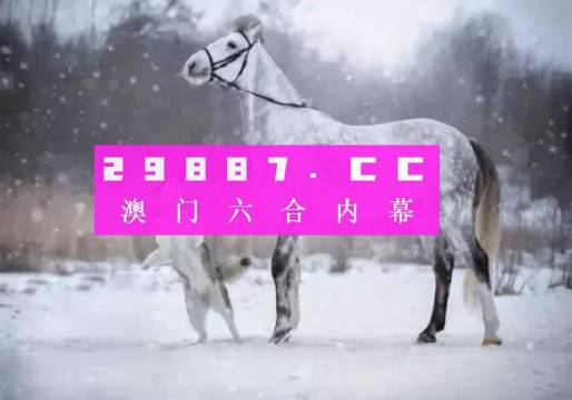 澳门精准一肖一码一一中,澳门精准一肖一码一一中的奥秘与探索