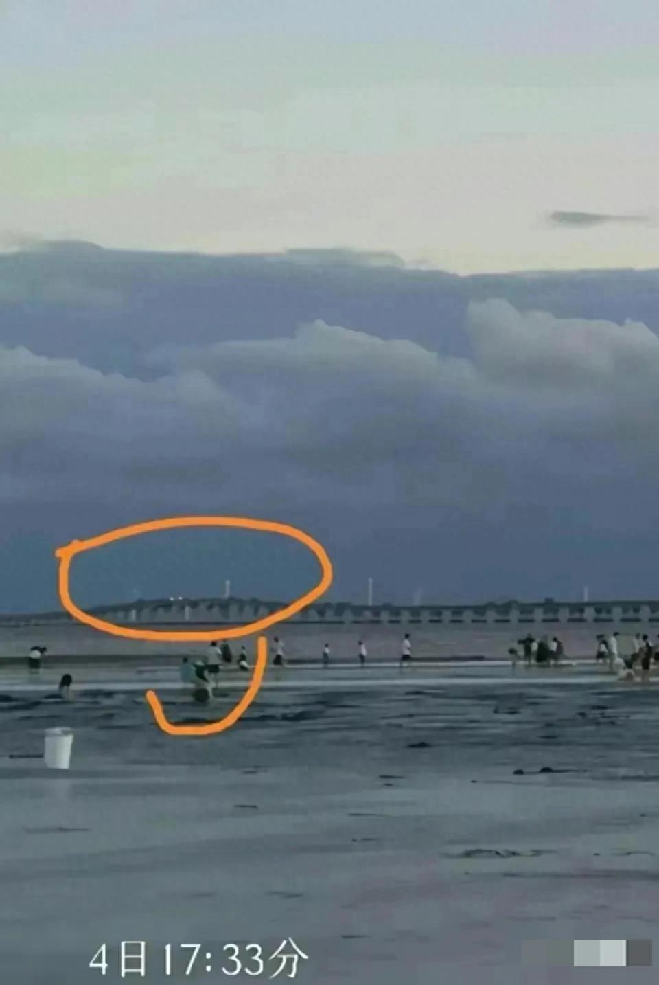 白小姐正版四不像中特小说,白小姐正版四不像中特小说，神秘世界的奇遇