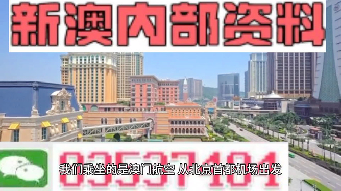 澳门特马免费材料,澳门特马免费材料，探索与解析