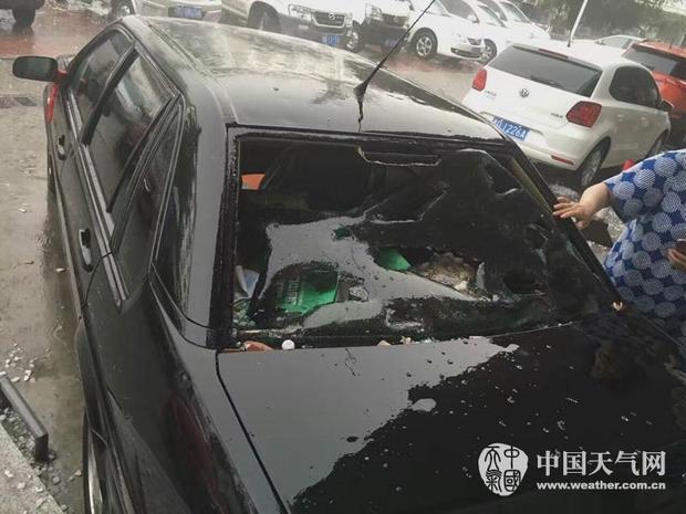 2025新澳门正版免费资料车,探索未来，澳门正版免费资料车与我们的日常生活（2025年展望）