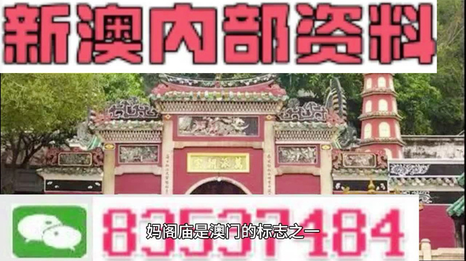 澳门今期今晚四不像,澳门今期今晚四不像的独特魅力与探索