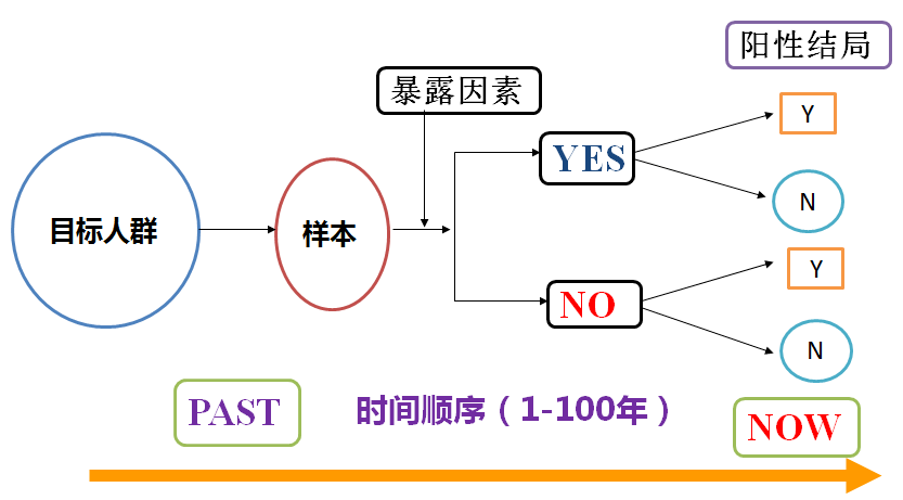 正版资料免费资料大全一,正版资料免费资料大全一，探索与利用