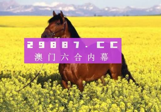 2025新澳门六开彩今晚资料,探索未来的澳门六开彩，今晚资料的深度解析（2025展望）