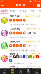 2025澳门今晚必开一肖,澳门今晚必开一肖——探寻生肖彩票的魅力与未来趋势