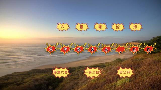 2004新澳门天天开好彩大全地址,探索新澳门，2004年天天开好彩的奥秘与魅力