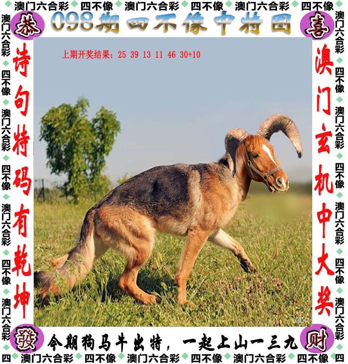 正版四不像资料生肖图,正版四不像资料生肖图，解读与探索